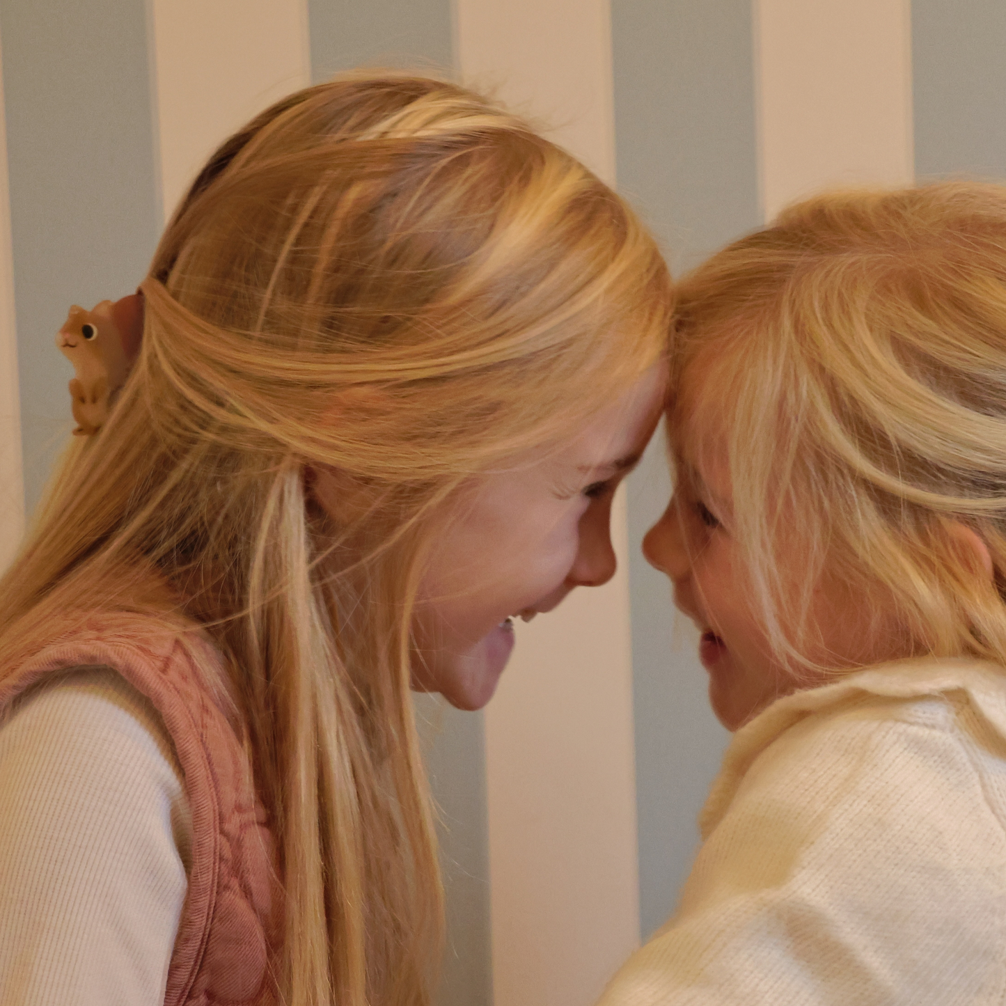 GIGI X BONTON PINCE ECUREUIL.