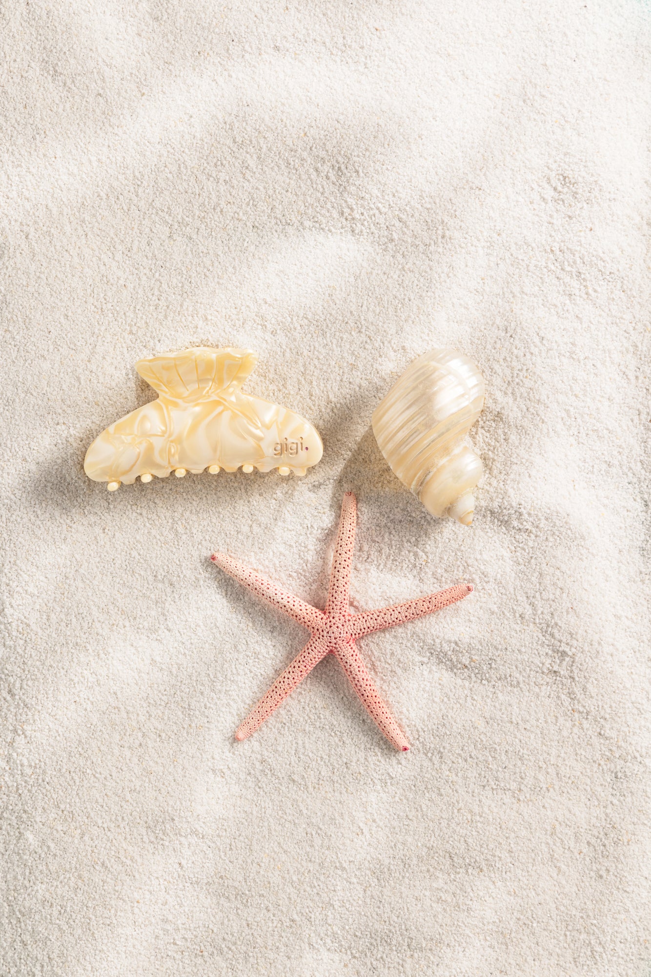 BELLE COQUILLAGE CHANTILLY.