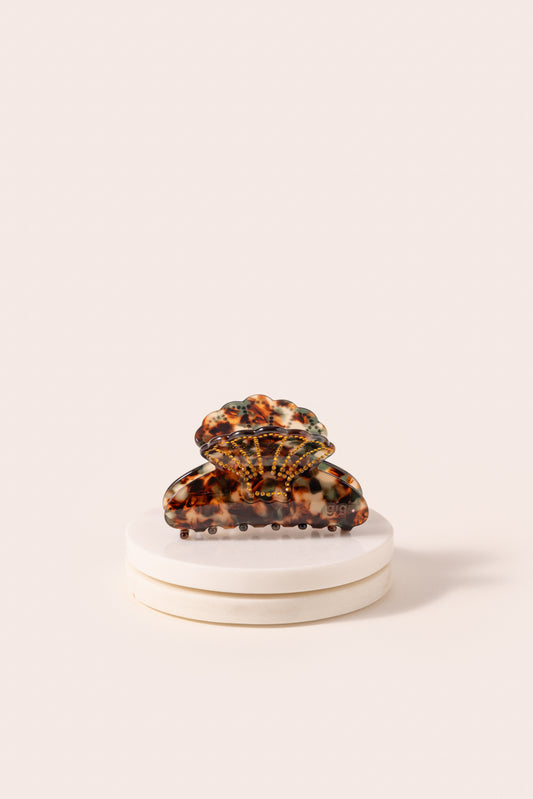 Belle pince coquillage ambre