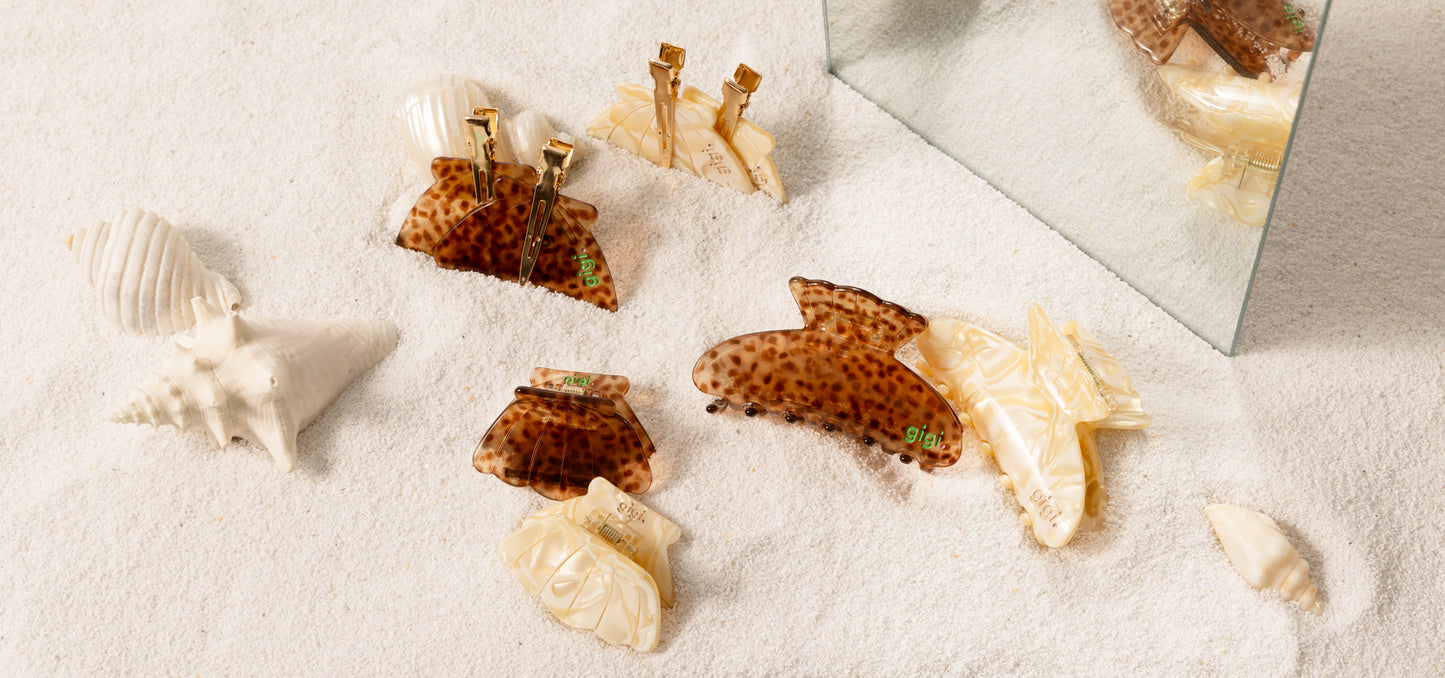MINI COQUILLAGE TIGRE.