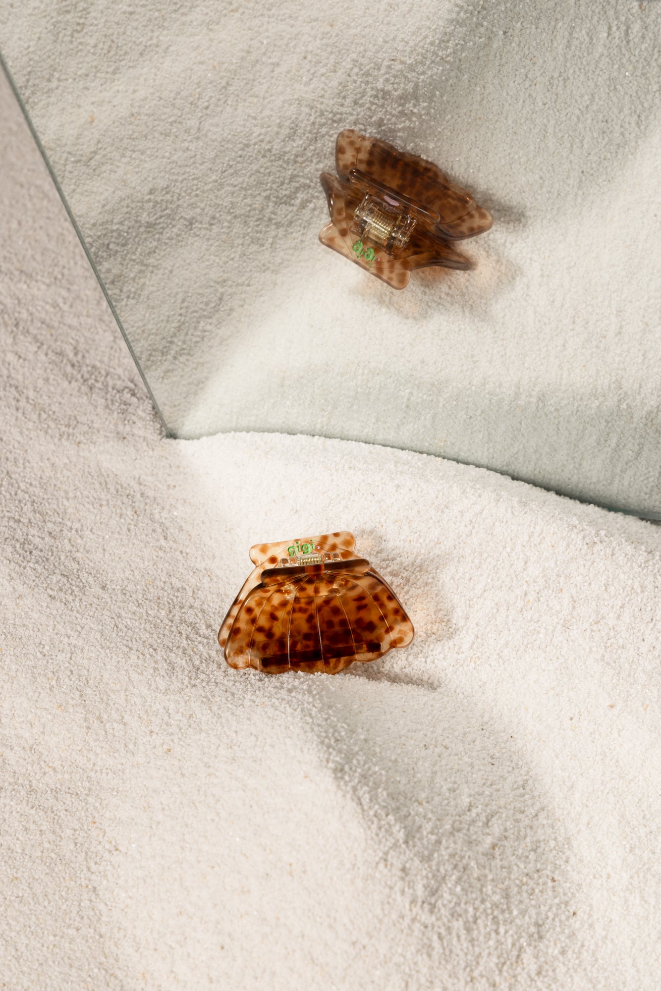 MINI COQUILLAGE TIGRE.