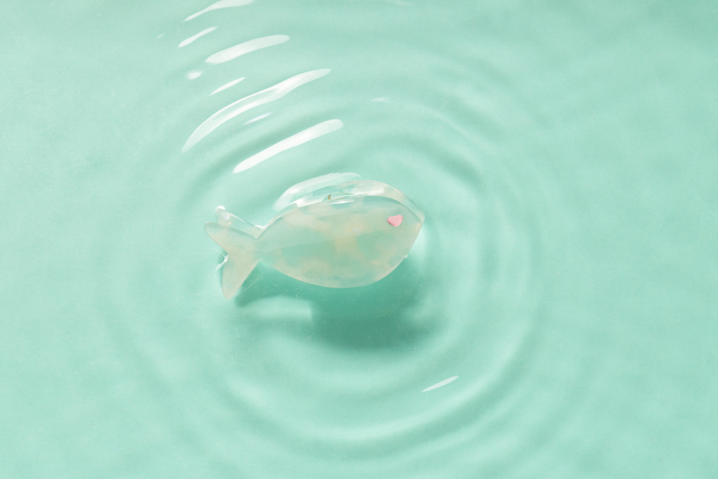 PINCE PISCIS LAGON.