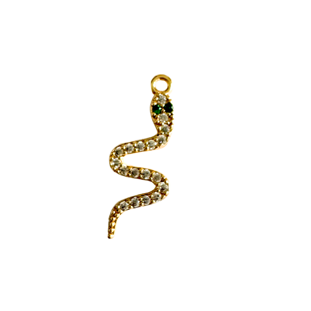 SNAKE.