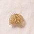 Pince coquillage halo