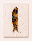 Piscis comb ondine