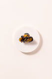 Rêve hair clip ondine