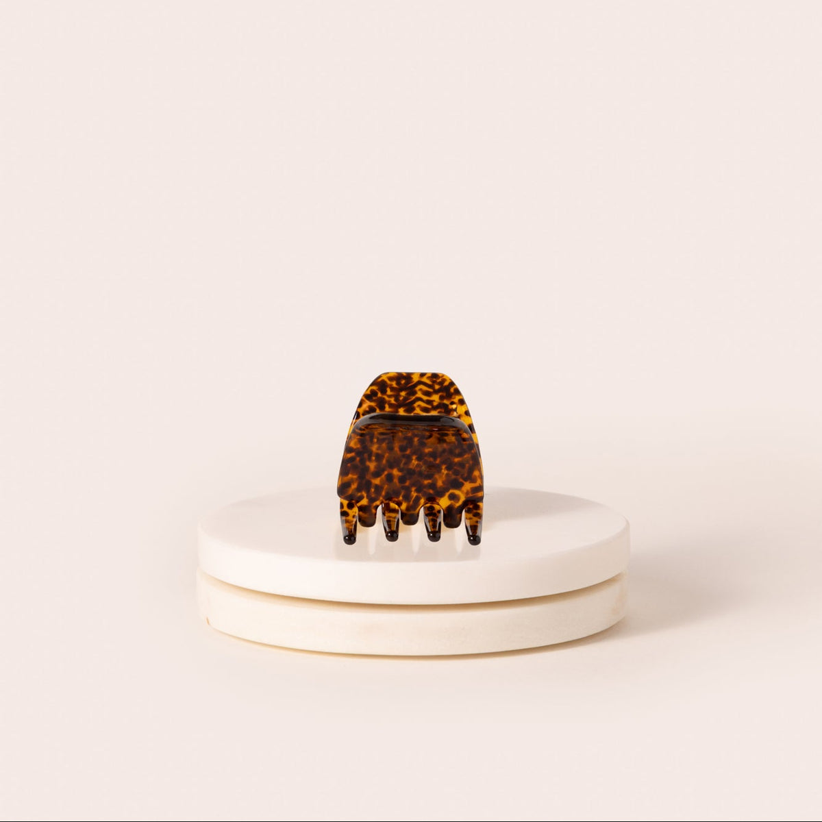Mini pince fauve