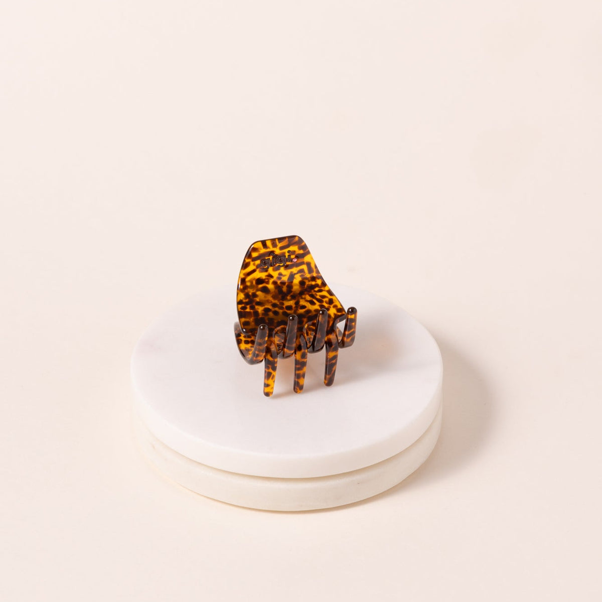 Mini pince fauve